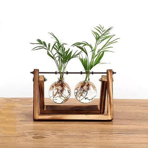 Vasos de Bulbos de Vidrio con Soporte de Madera